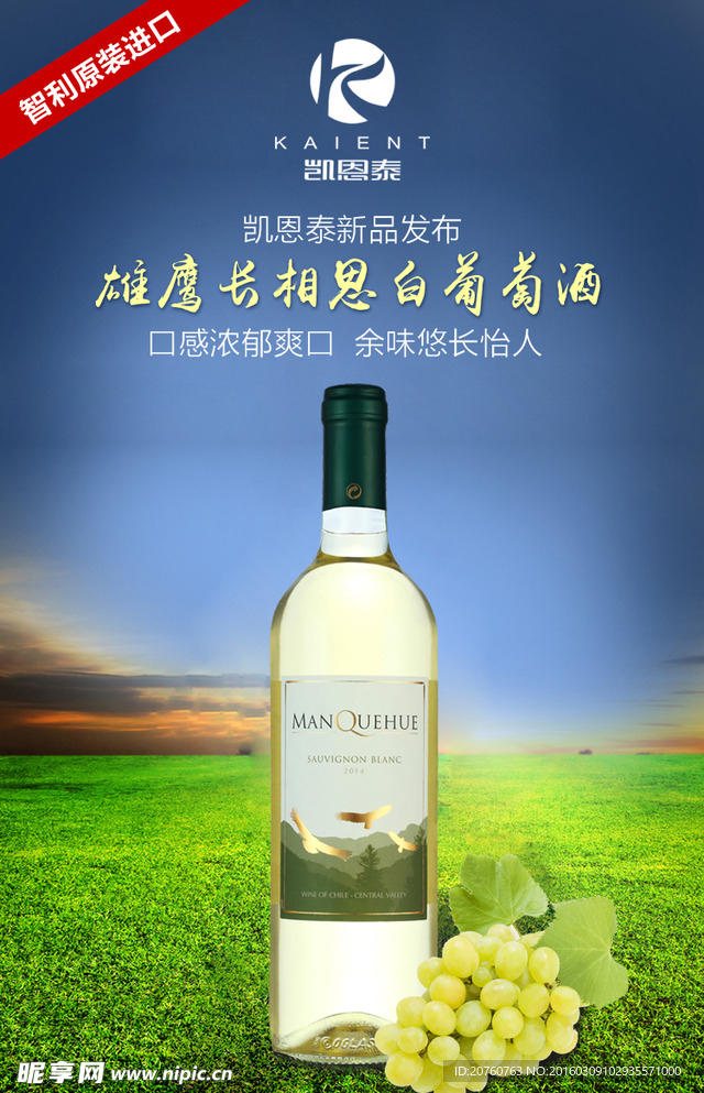 白葡萄酒 海报