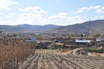 大兴安岭 林区
