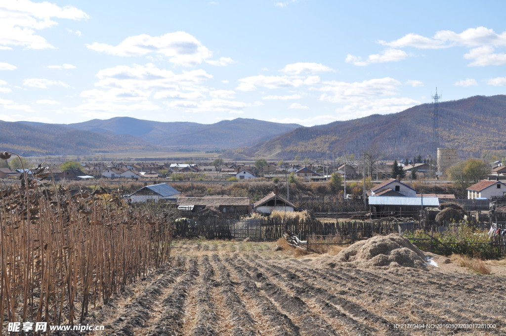 大兴安岭 林区