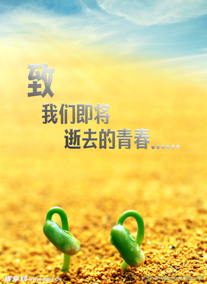 致青春