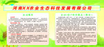 农业生态科技发展有限公司版面