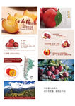 红布林详情页设计