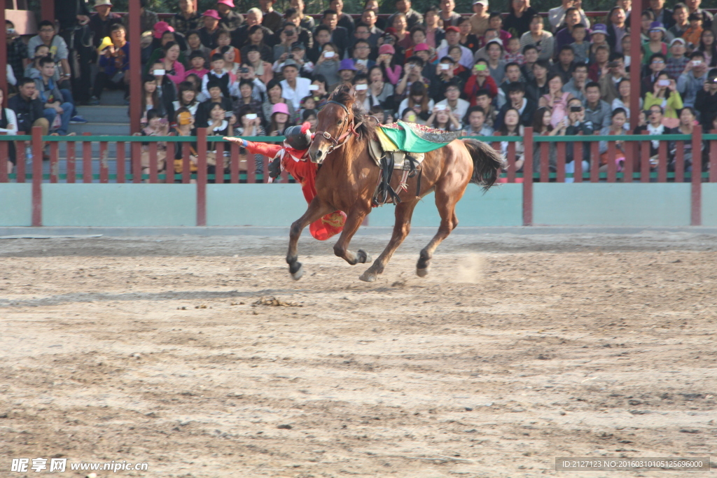 赛马表演