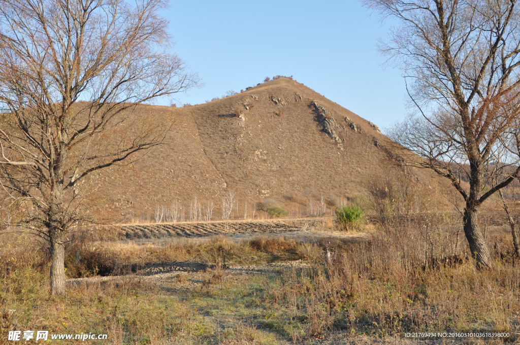 大兴安岭 林区