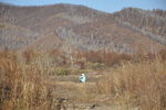 大兴安岭 林区