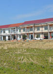 田野