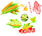 玉米矢量