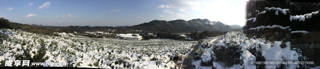 龙井 雪景