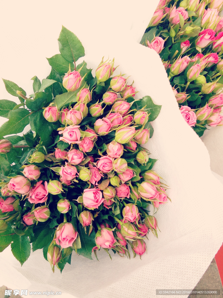 小玫瑰花