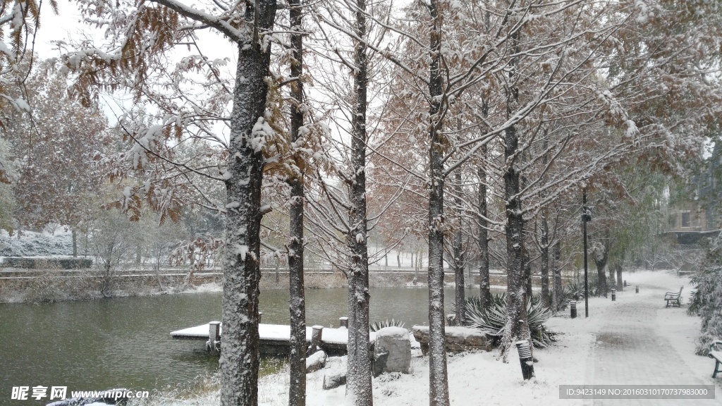 雪景