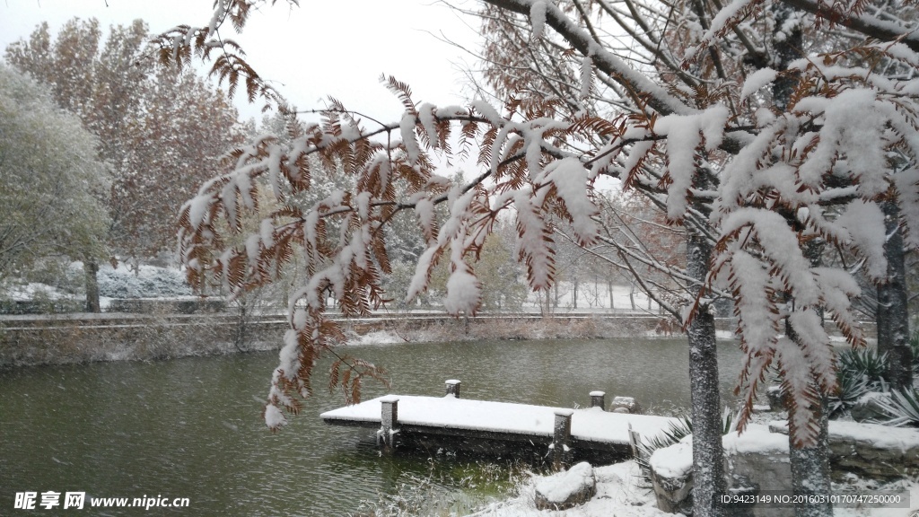 雪景