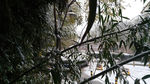 别墅雪景