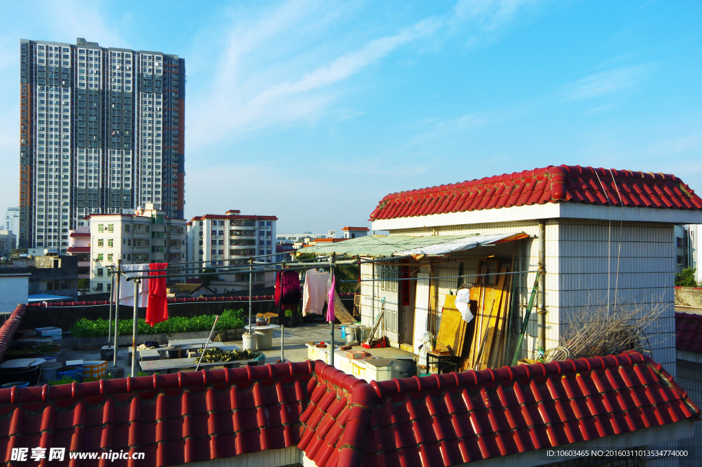 楼顶风光 天台菜园