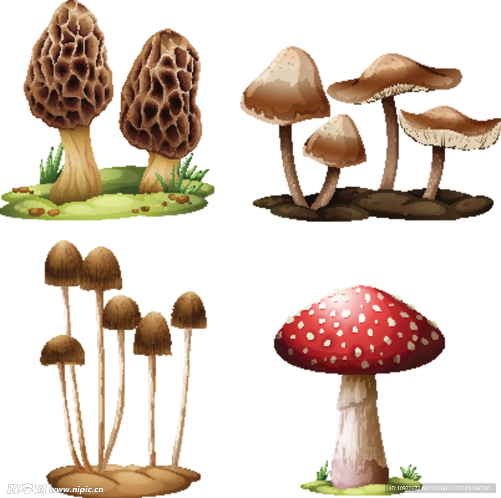 卡通蘑菇矢量