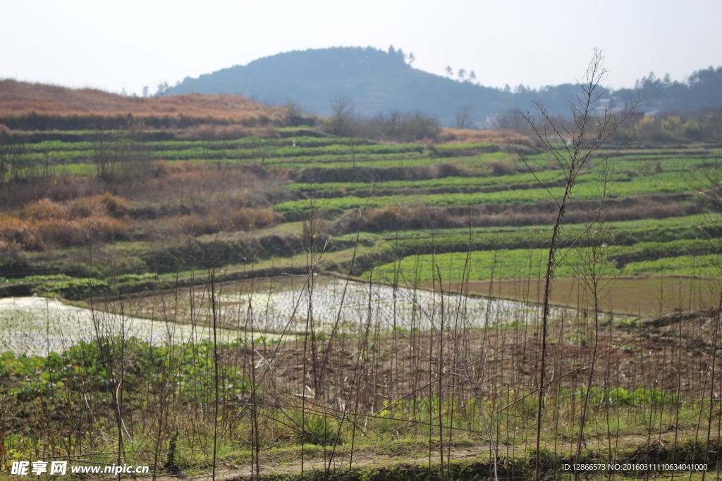 田园风光