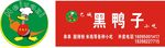 巴城黑鸭子