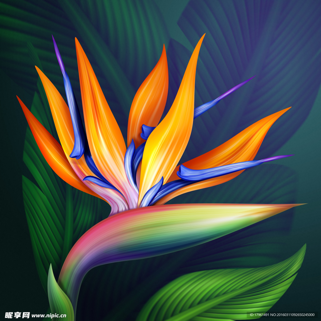 鲜花背景