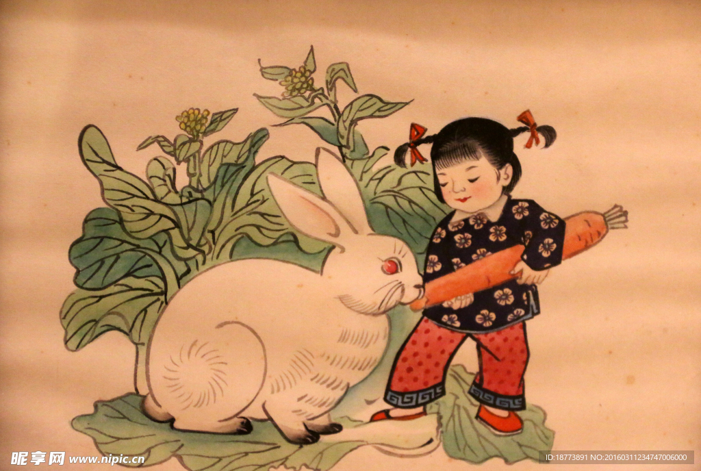 小女孩喂兔子吃胡萝卜