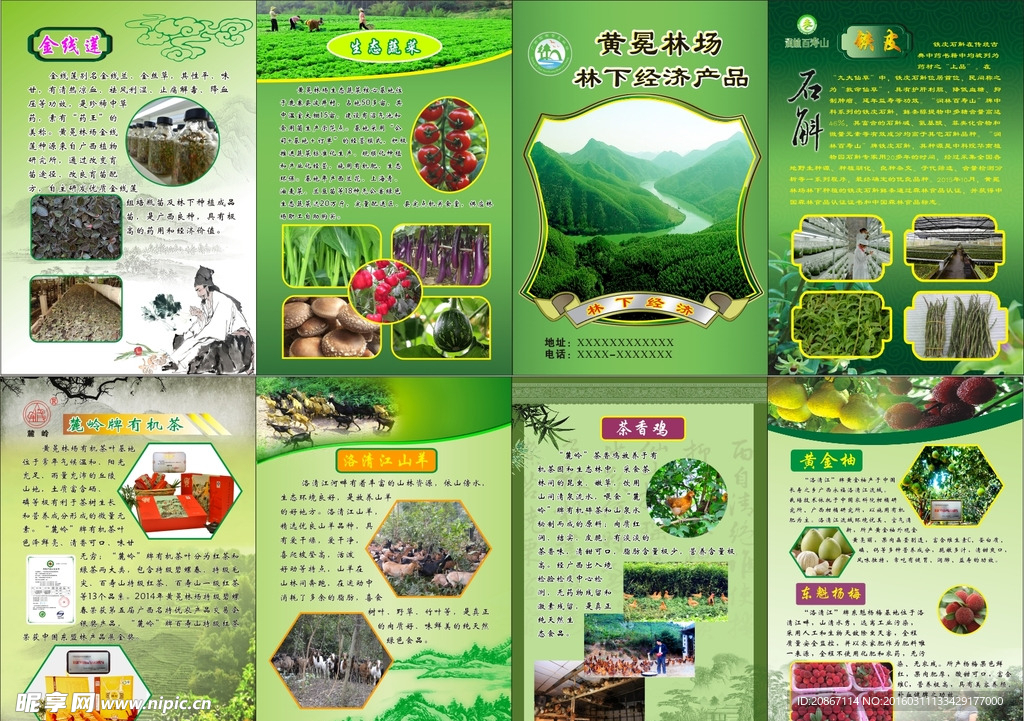 农产品四折页宣传册
