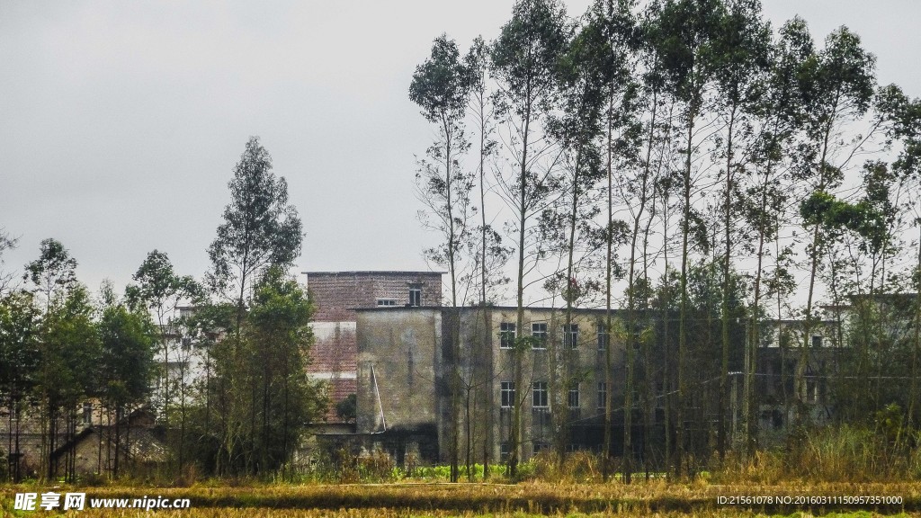 北里小学