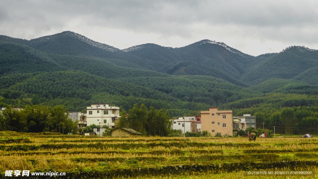 乡村