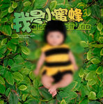 我是小蜜蜂