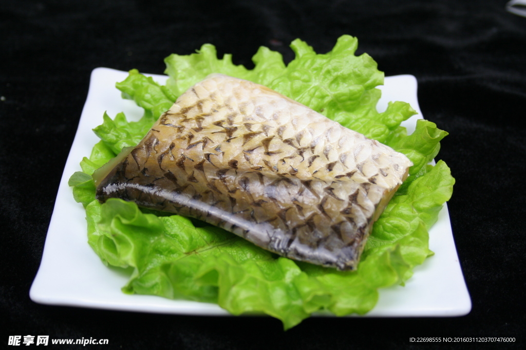 江南醉鱼