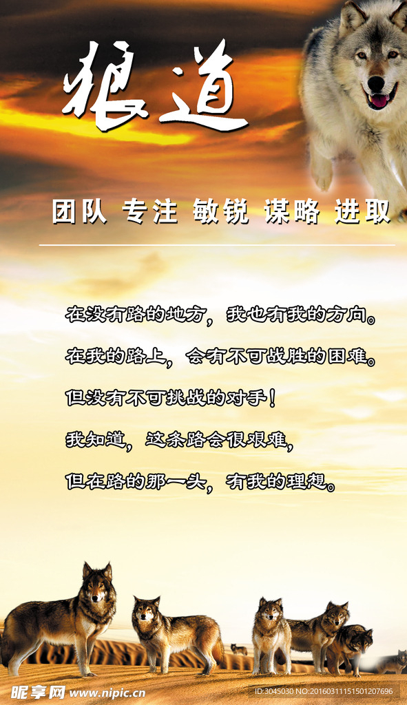 狼道宣传