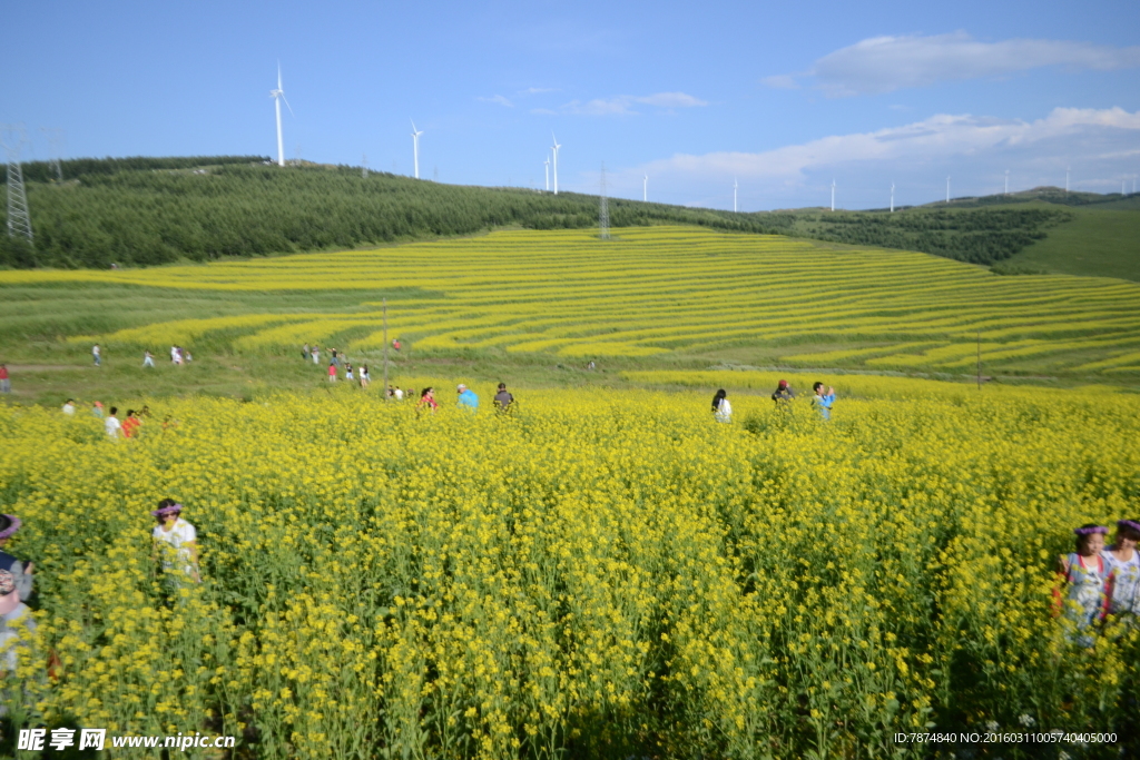 草原天路