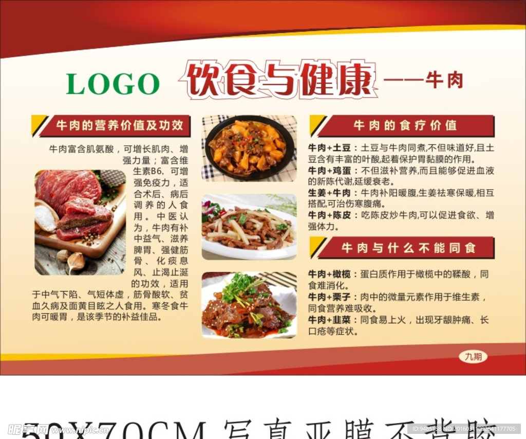 饮食与健康—牛肉