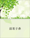 简单名片