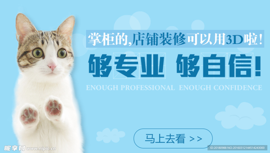 猫咪海报