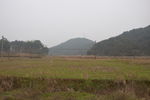 田野