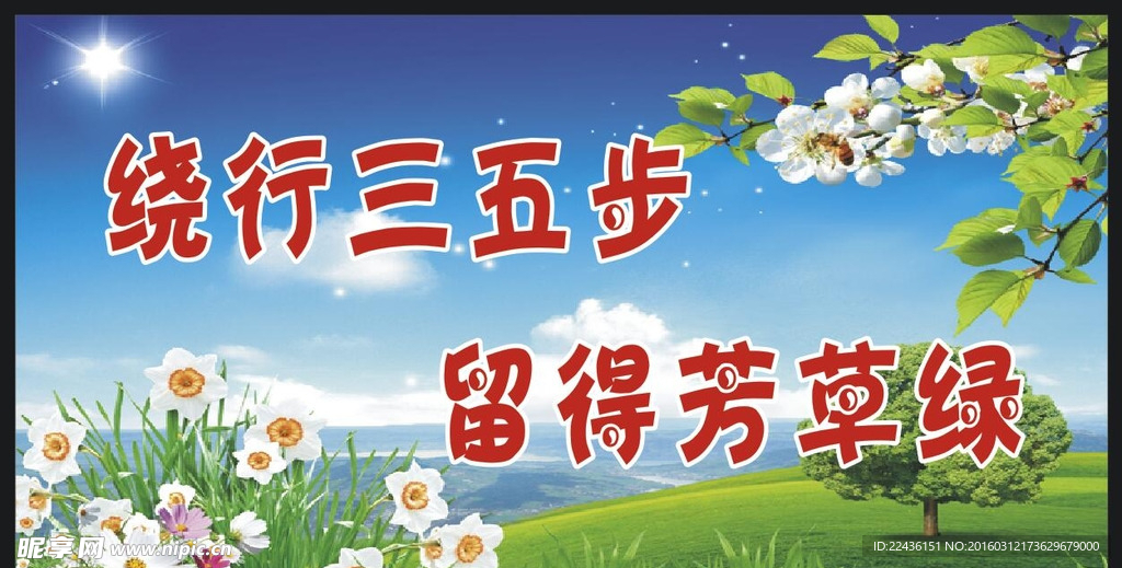 爱护花草