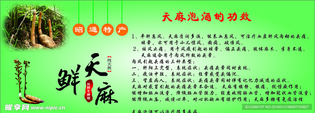 云南鲜天麻