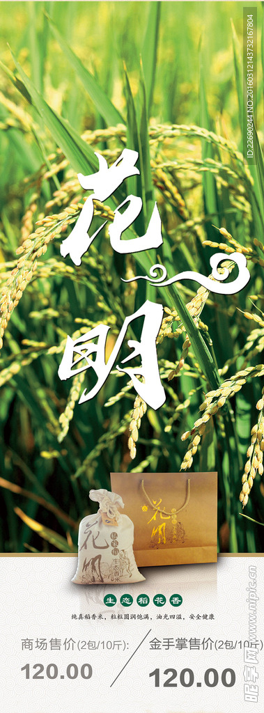 大米易拉宝