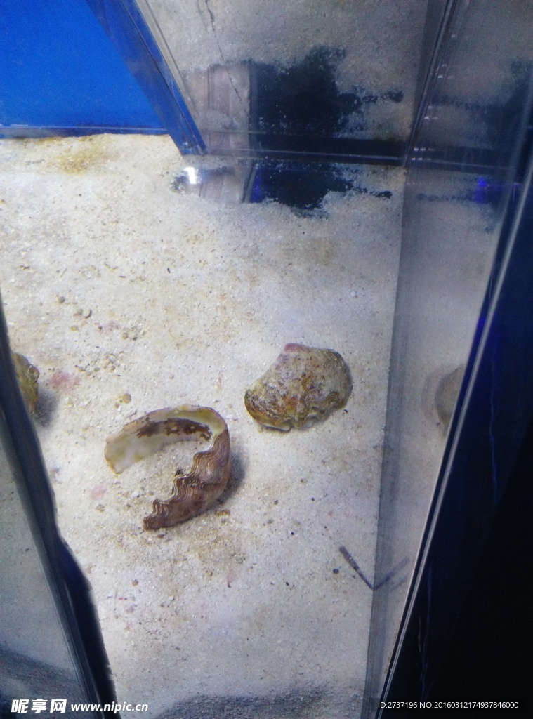 鱼缸