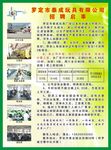玩具厂招聘启示