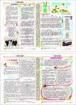 小学小记者报刊2期
