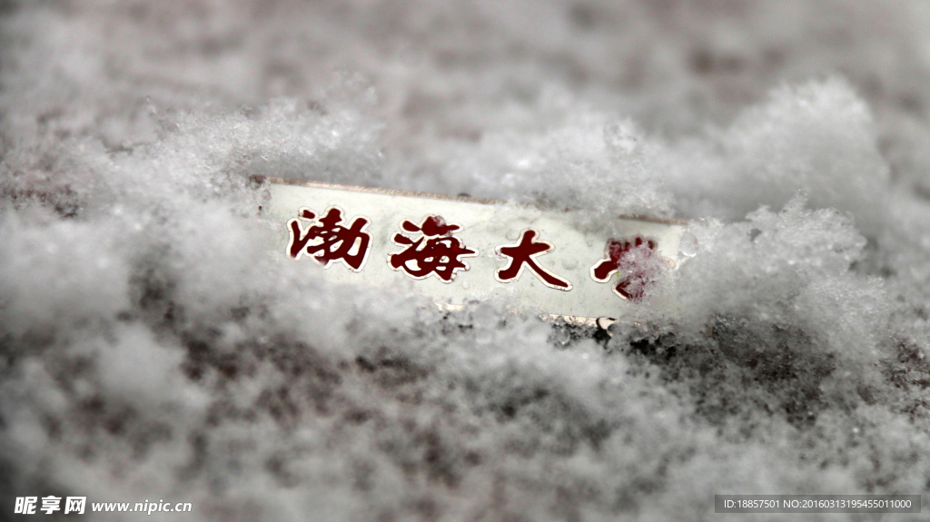 雪地里的记忆