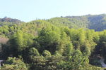 竹山
