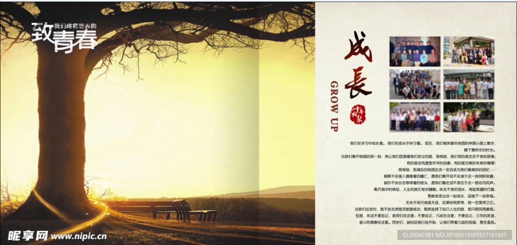 致青春