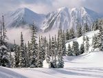 林海雪山