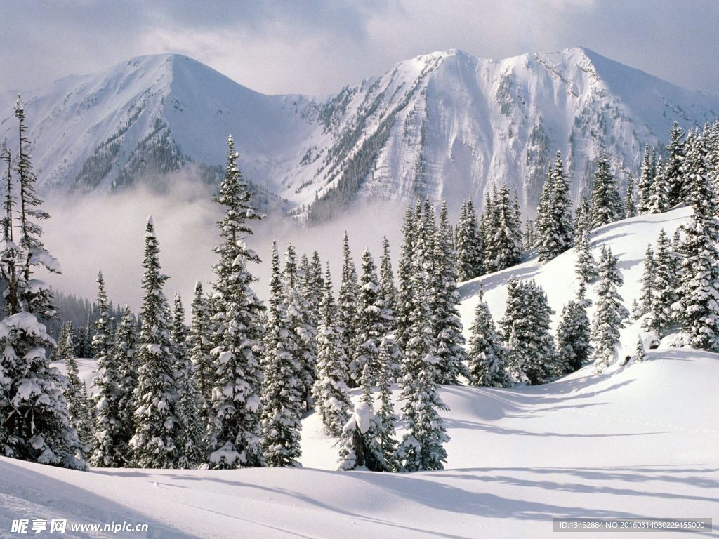 林海雪山