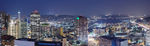 城市夜景全景