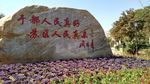 总理题词