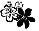 黑白手绘花纹