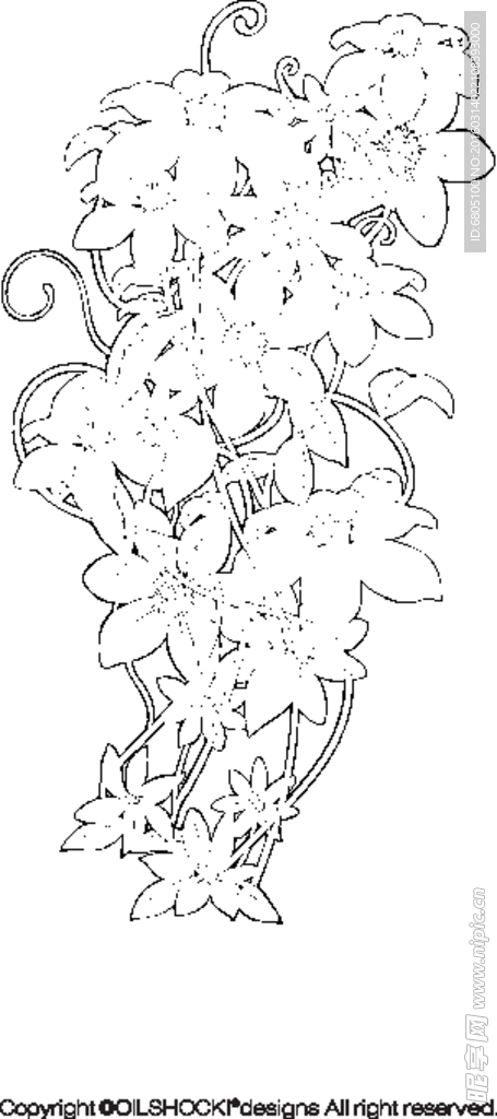 矢量生长花纹素材