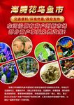 宠物市场招商宣传单
