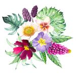 水彩热情花卉花绿叶紫色卡片矢量